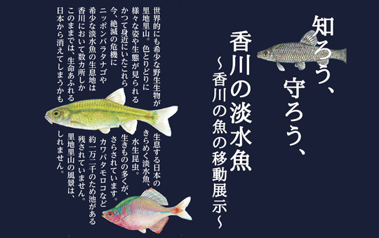 香川大学博物館 特別展「知ろう、守ろう、香川の淡水魚 ~香川の魚の移動展示~」開催について
