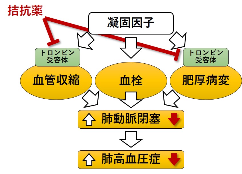 挿入図１.jpg