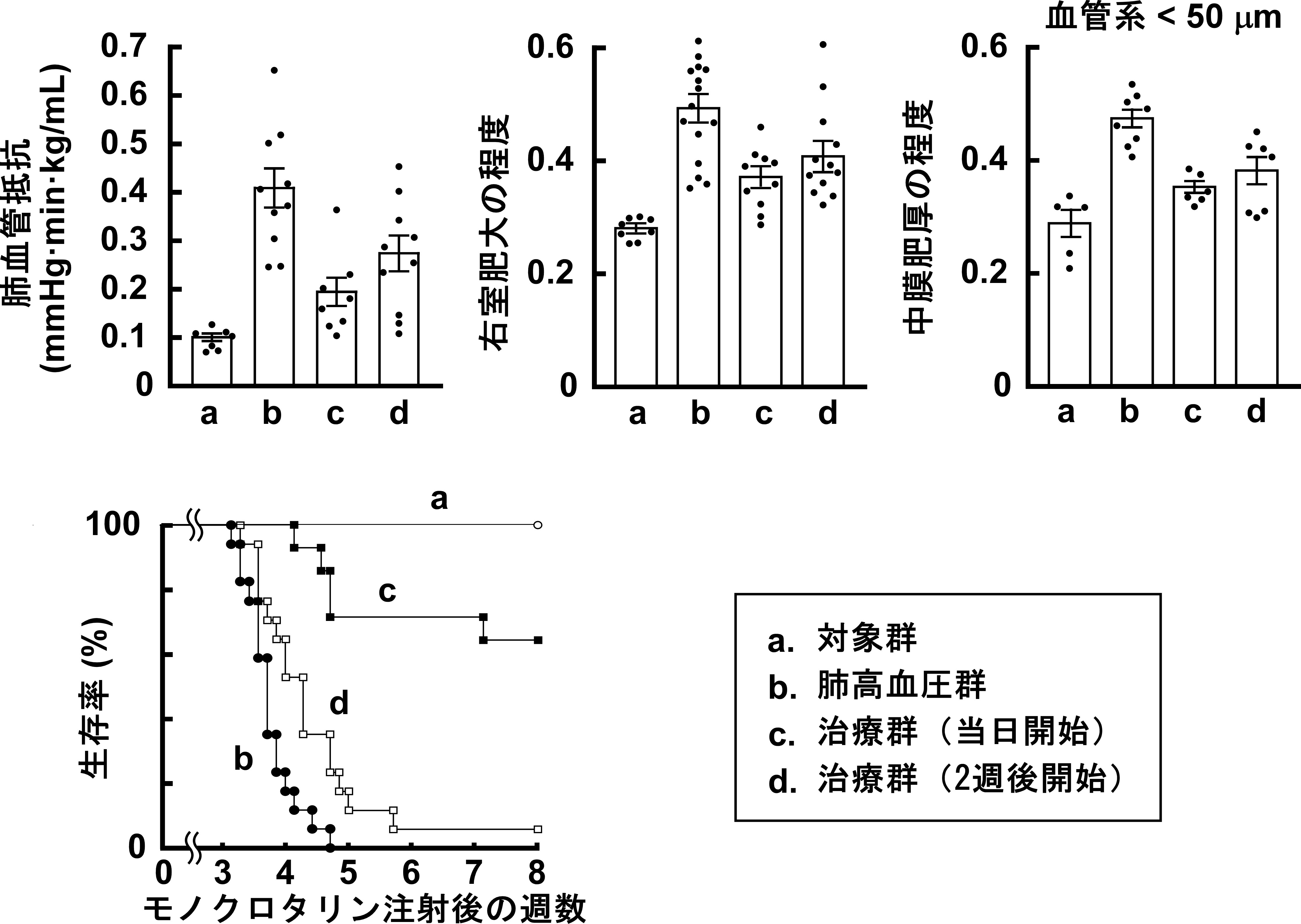 挿入図2.jpg