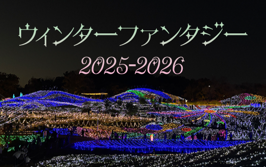 「ウィンターファンタジー2025-2026」 イルミネーションデザインに 教育学部美術領域の学生が協力