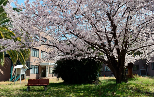 香川大学博物館 収蔵品資料データベースのご案内とホームページリニューアルのお知らせ