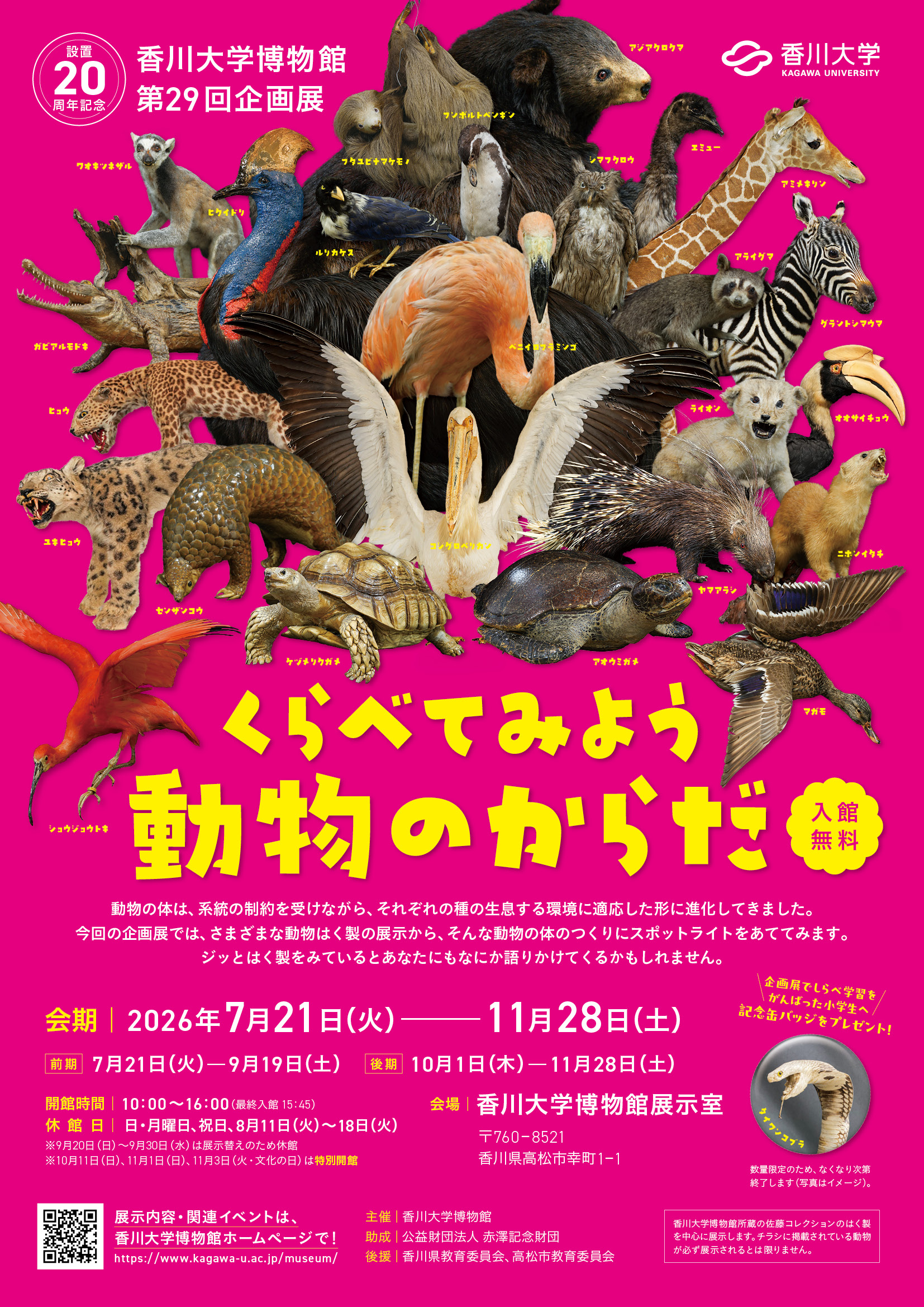 第29回企画展チラシ