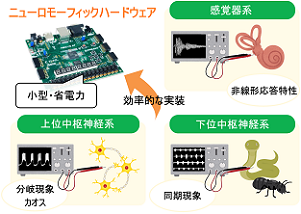 takeda1-1.jpg