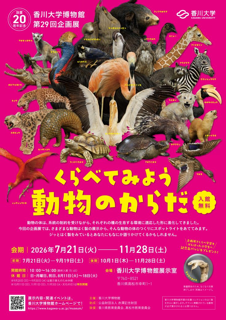博物館チラシ.jpg