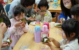 香川大学教育学部附属幼稚園高松園舎で季節を感じる伝統的行事の開催  手作りおやつの日　～園庭の柏の葉を使った柏餅～