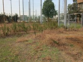 作業前の状態 経済グラウンド