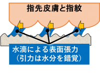 a.png
