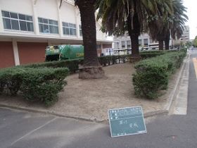 武道場周辺 施工後 武道場周辺