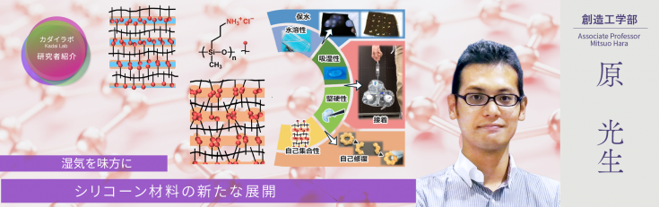 原先生20250801.png