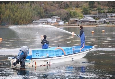 沿岸海域の低次生物生産過程と栄養塩循環 ～豊かな海へ～