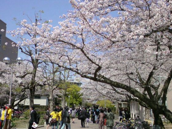 昨年度入学式の様子