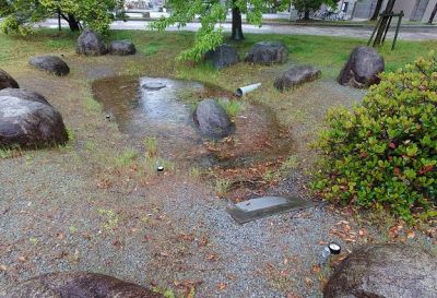 雨水処理能力の向上を図った緑地「雨庭」の造成と実証実験