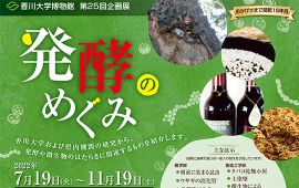 香川大学博物館 第25回企画展「発酵のめぐみ」開催について
