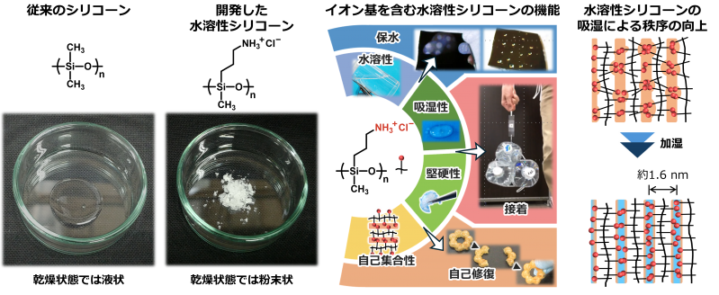 開発した水溶性シリコーンの多様な機能.png