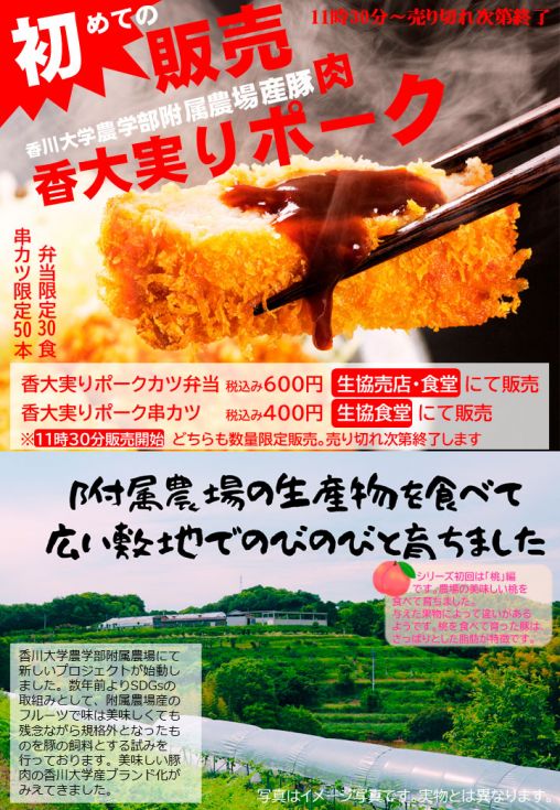 HP用画像2_OC収穫祭での販売.jpg