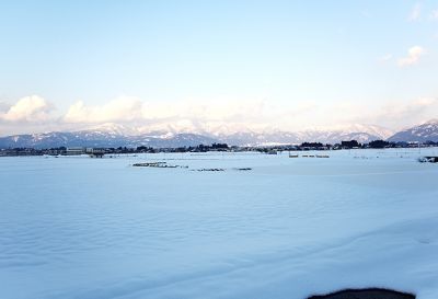 大野市での地下水温計測による降雨の涵養メカニズムの解析を通した大学―市民共同モニタリングの試み