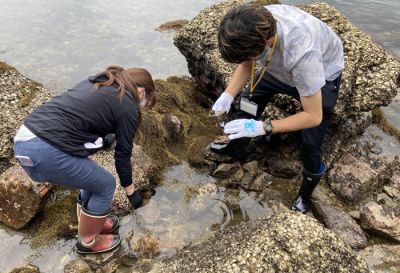 香川大学生の「かがわ里海大学」への参画