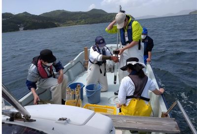 香川県志度湾における持続可能な水産養殖研究