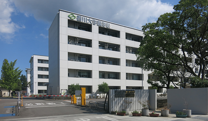 Barrier gate at the entrance of agriculture campus