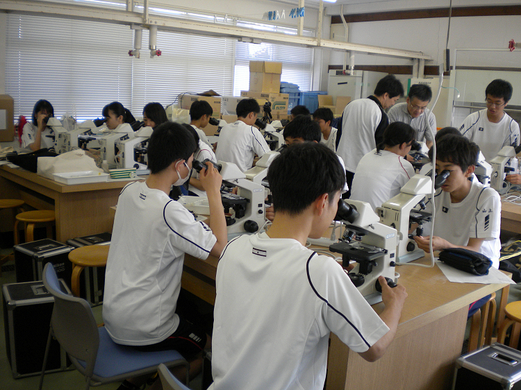 採取したプランクトンを顕微鏡観察